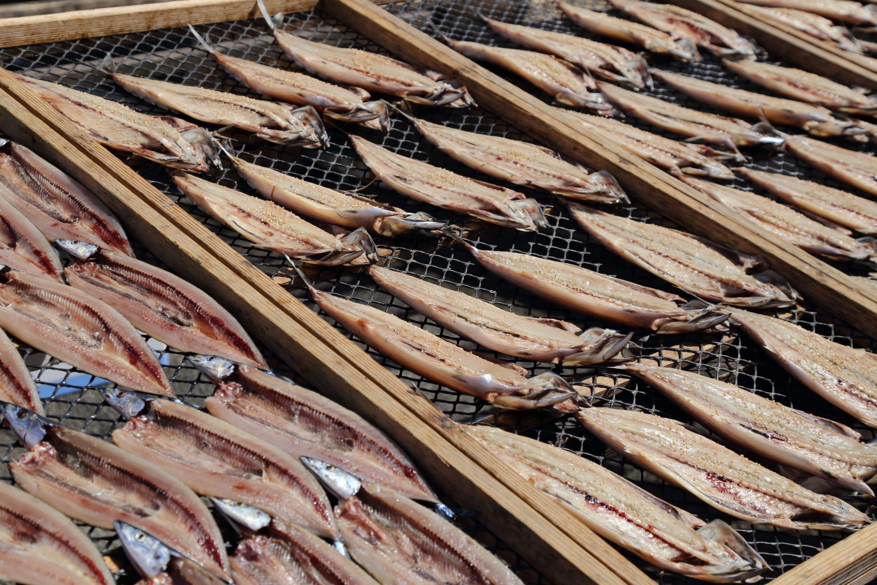 秋刀魚、鯵の干物